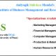 master's in business studies